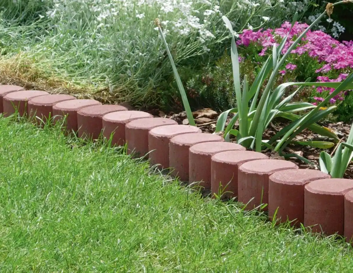 palisady corto